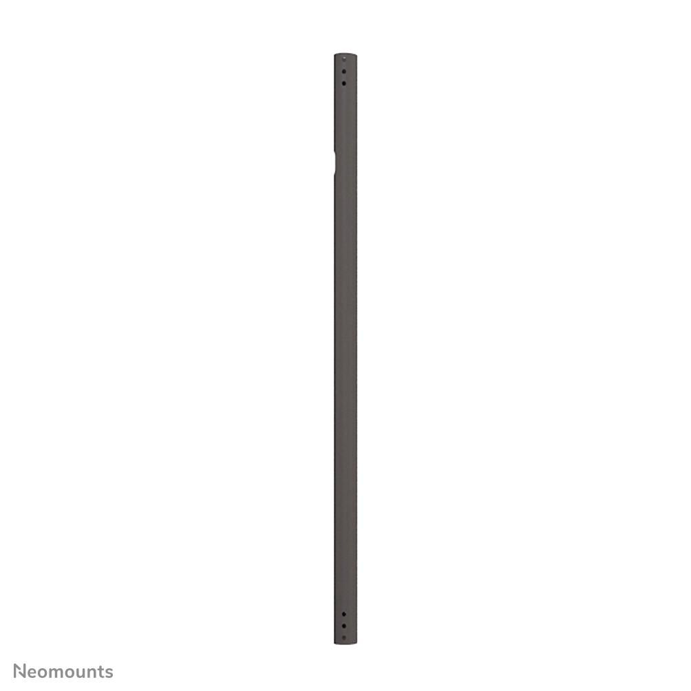 Main