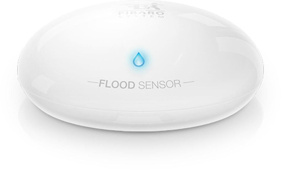 Fgfs-101-Zw5 