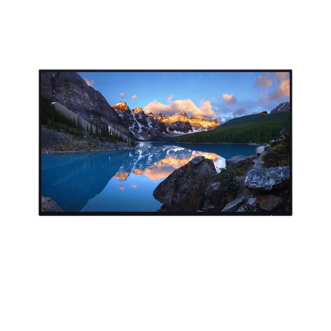 UltraSharp 24 Monitor -
