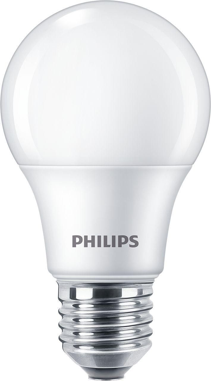 Bulb