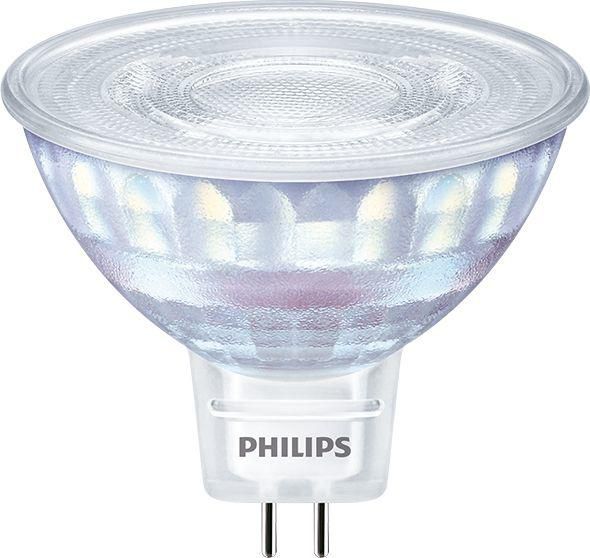 Spot (Dimmable)