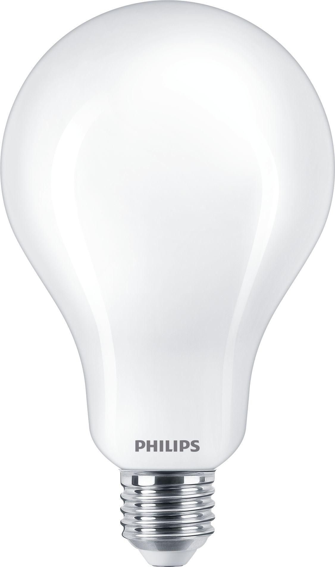 Bulb