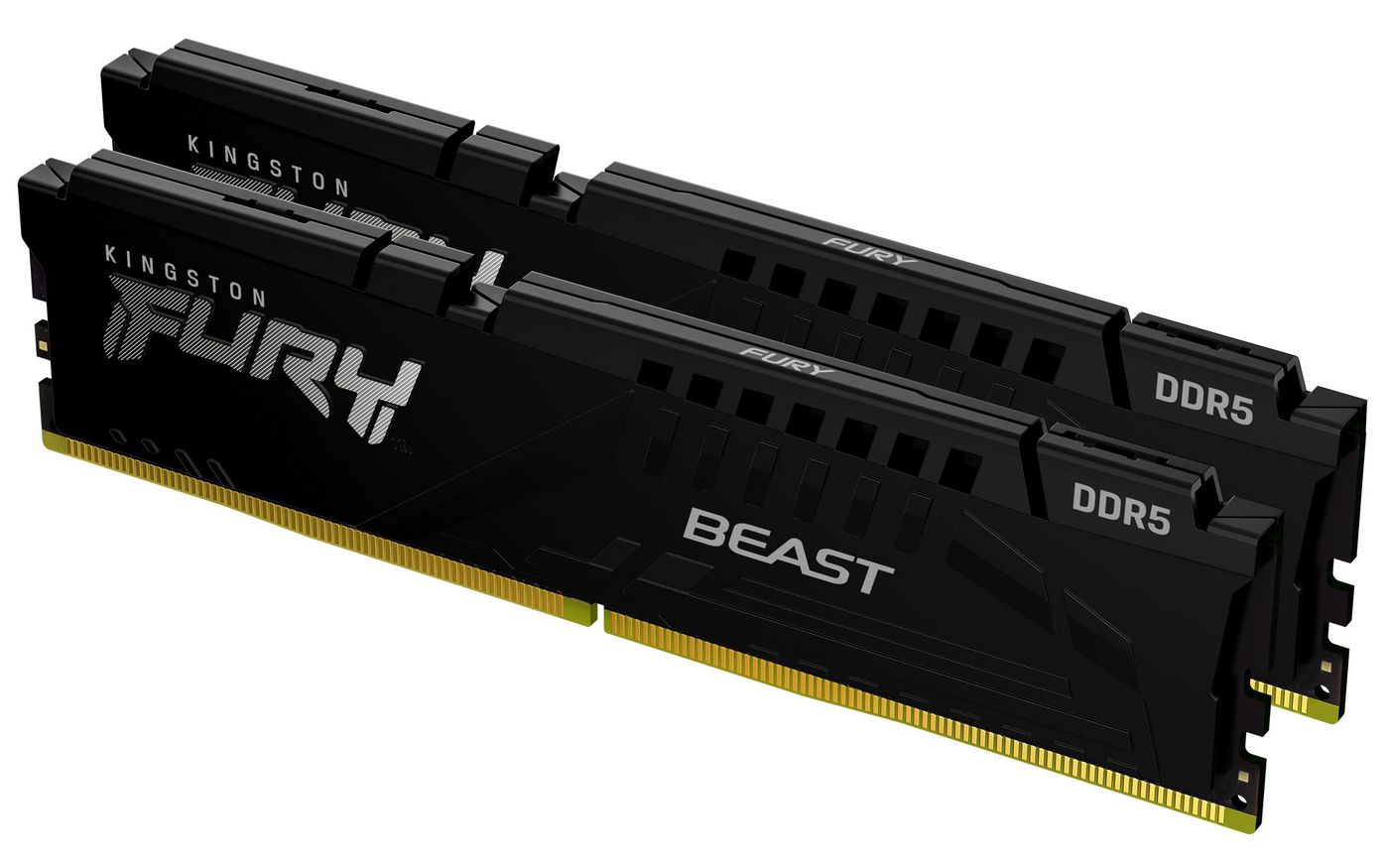 Fury Beast 32Gb 6000Mt/S Ddr5 