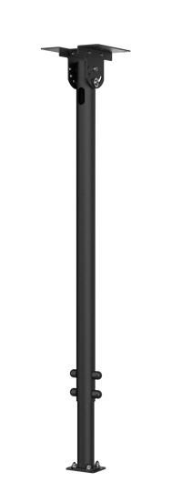 Main