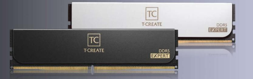 2G6000Hc38Adc01 Memory Module 