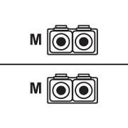 Main
