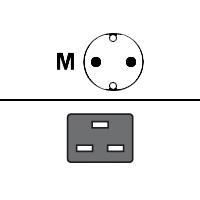 Main