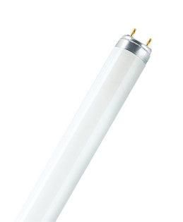 L 18 W/840 Fluorescent Bulb 