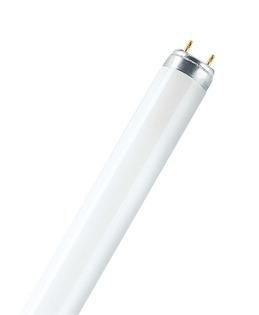 Lumilux T8 Fluorescent Bulb 