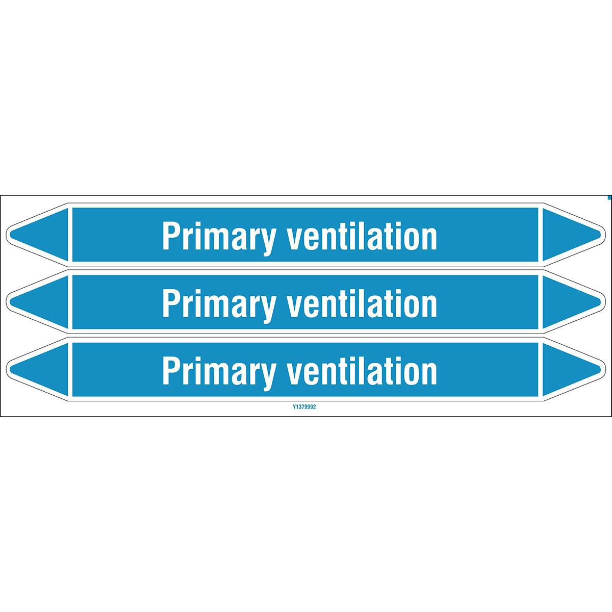 Main