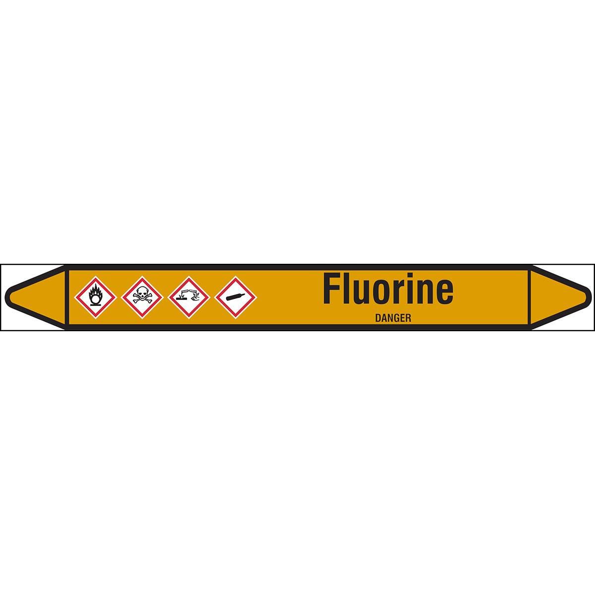 Main