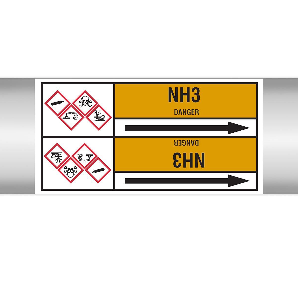 Main