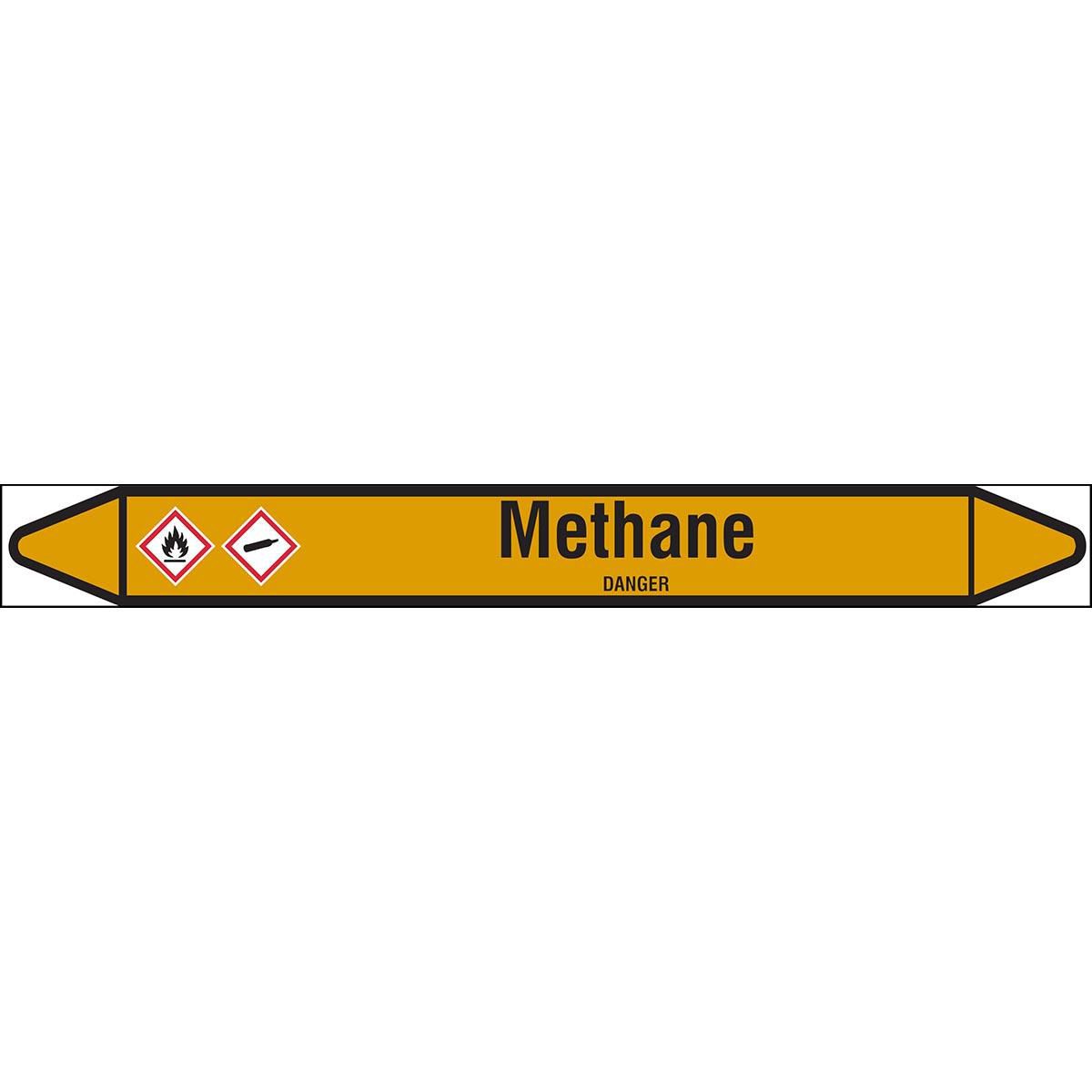 Main