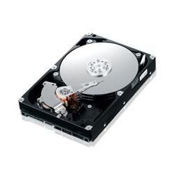 320GB SATA-II 3.5" 7200RPM 