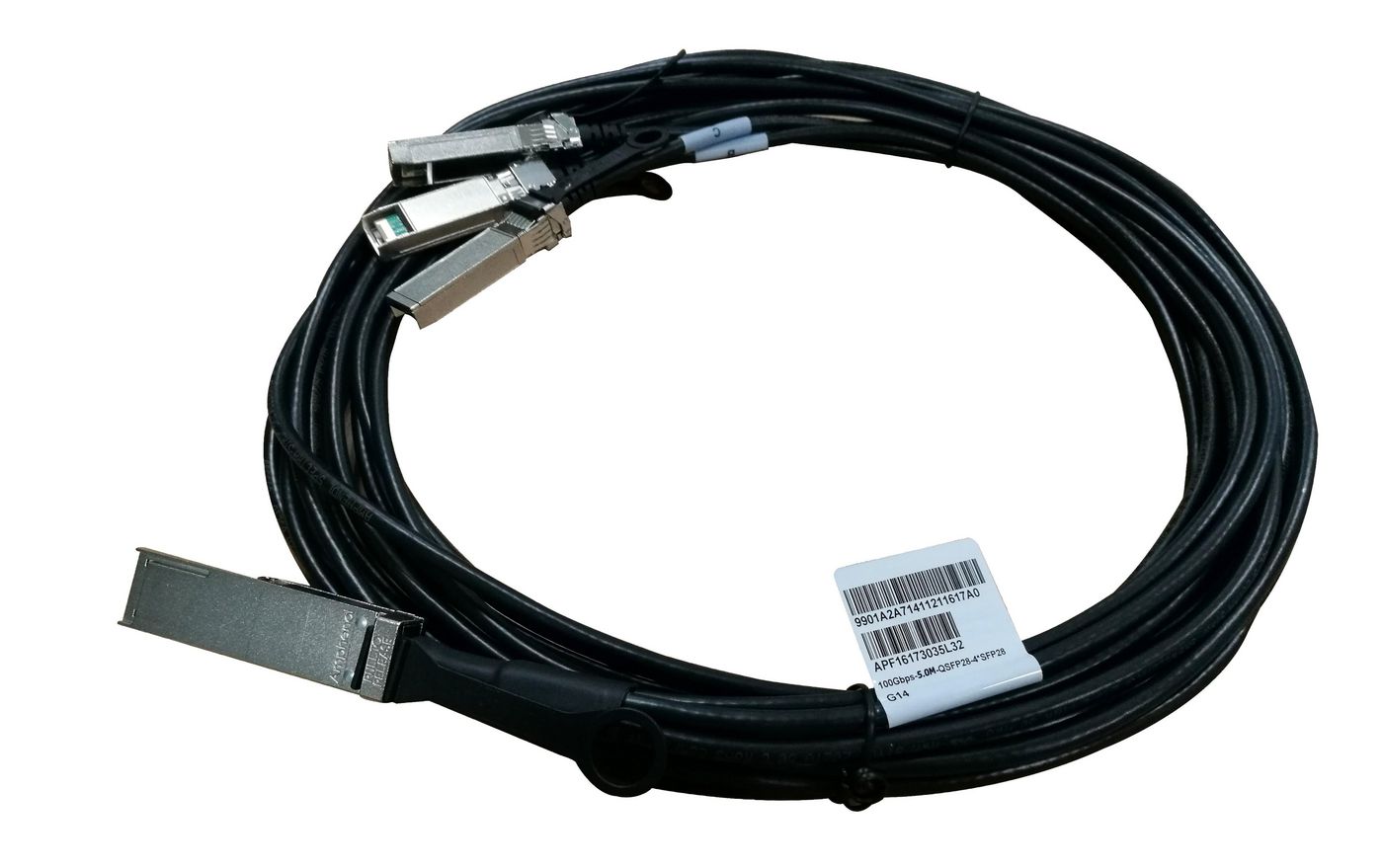 Main