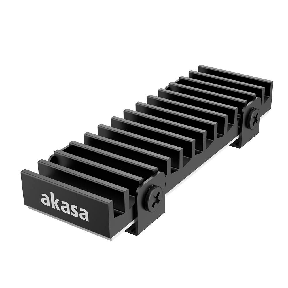 Gecko Pro Solid-State Drive 