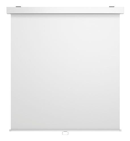 M 1:1 Manual Projection 