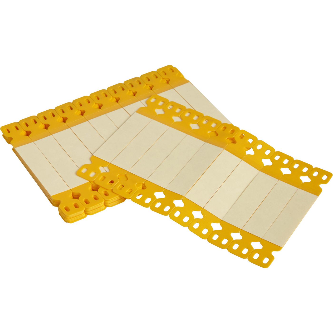 Main