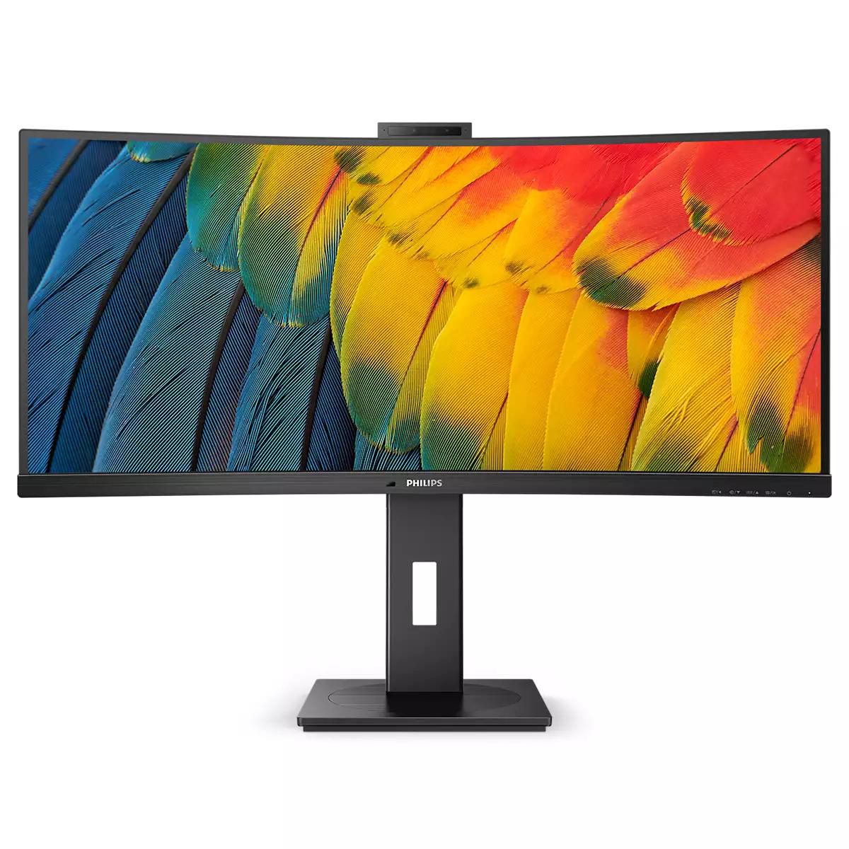 Computer Monitor (34")