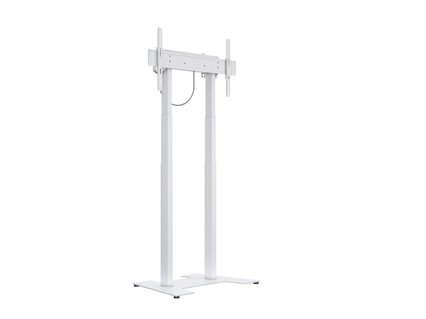 M Motorized Floorbase 60Kg 