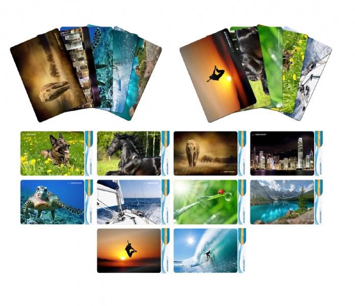 Mouse Pad Multicolour