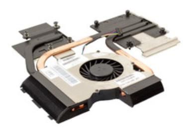 Thermal Module