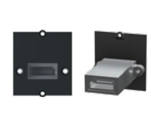 Custom module - DisplayPort