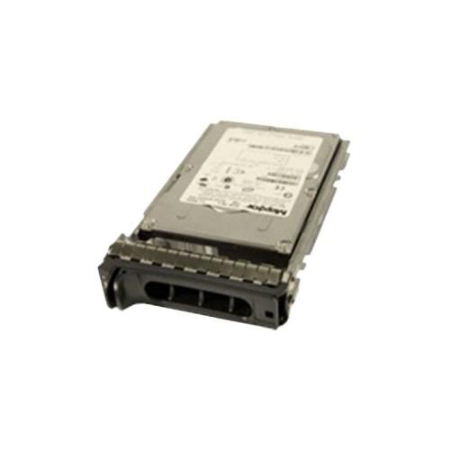300GB Hot Swap SAS2 HDD
