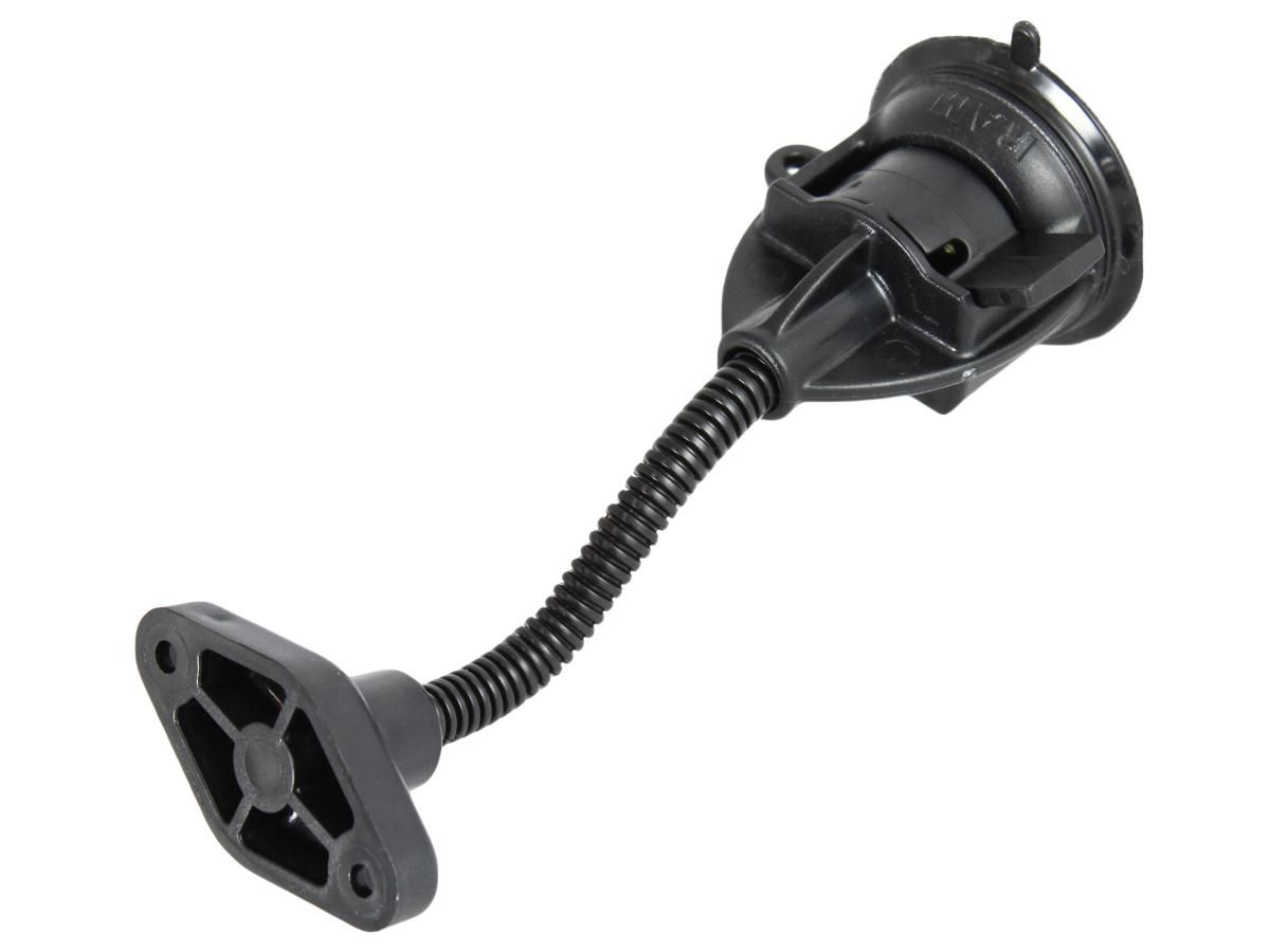 Main