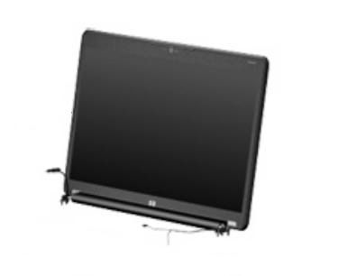 PNL DSPLY 16 FG AG WEB/MIC
