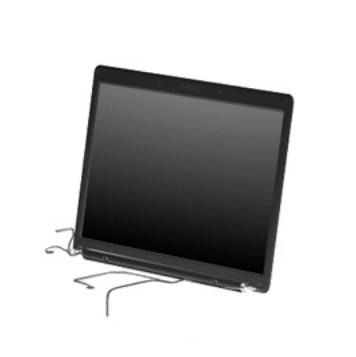 DSPLY 15.4 WEB/MIC PRS