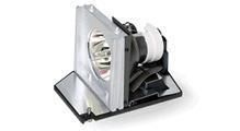 LAMP.MODULE 240W E20.8 O3 MID