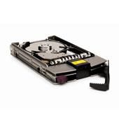 300GB SCSI U310 10K HDD