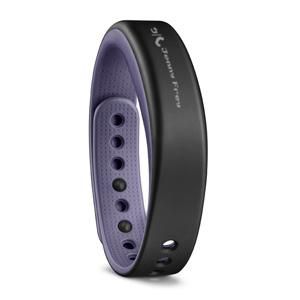 vivosmart, Purple, Large