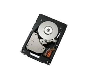 HD 73 GB U320 SCSI HS