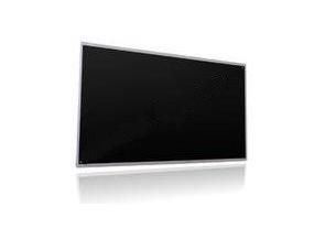 LCD PANEL.21in..CMO