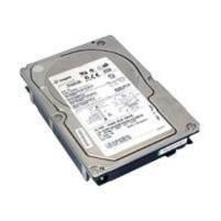 300 GB SAS 15K HDD