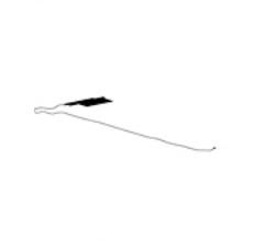 HP Cable Antenna DUAL