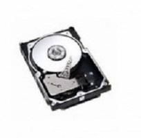 300GB FC 10K HS
