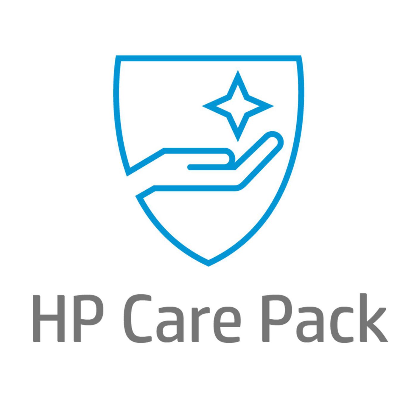 eCarePack 3Y NBD + max 3