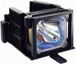MODULE.LAMP.S1213