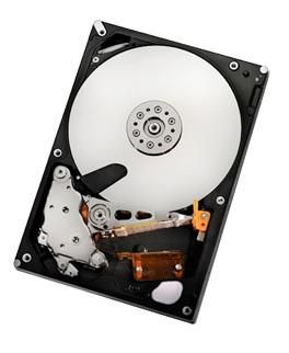 2TB SATAII 32MB, RAID