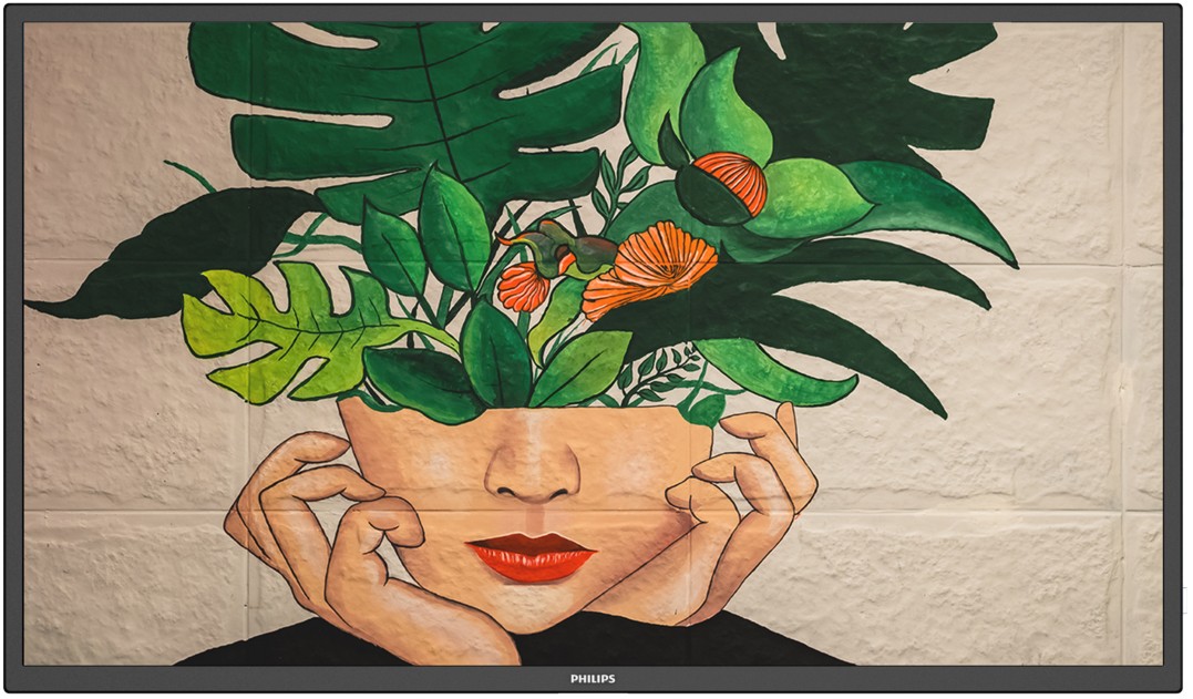 TFT 32" Philips 32BDL4511D, ADS, DVI-I, HDMIx2, DP, USB, RJ45, колонки, чорний