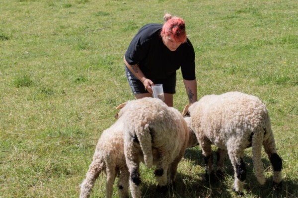 Pflege und Entdeckung der Tiere