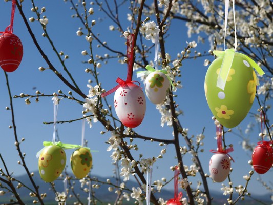 Easter Brunch at Madrisajoch