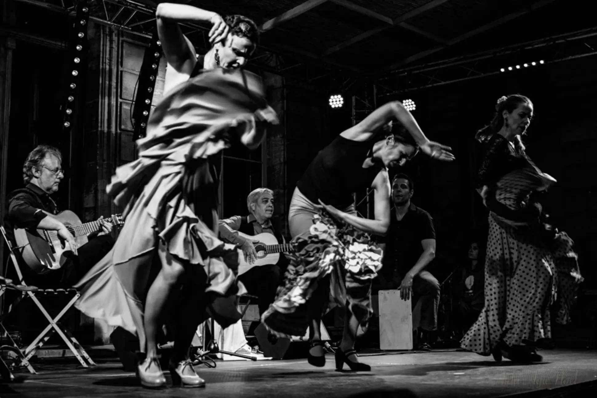Flamenco with Golden Letters