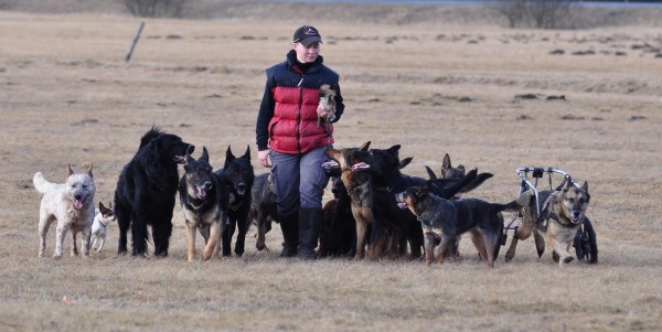 "The Sovereign Pack Manager" 2-Day Seminar with Katrin Scholz