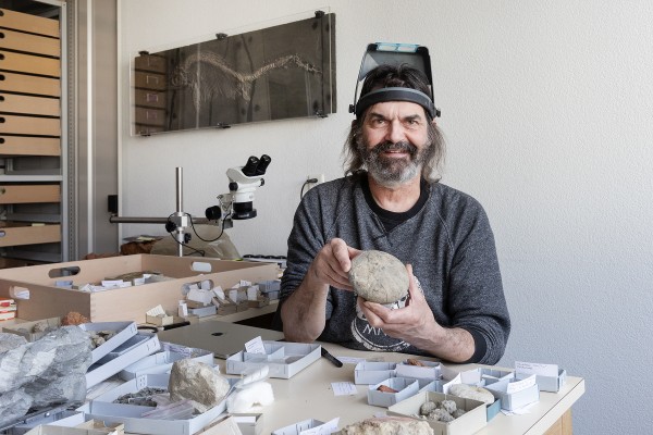 Behind the Scenes Tours: The Most Beautiful Fossils