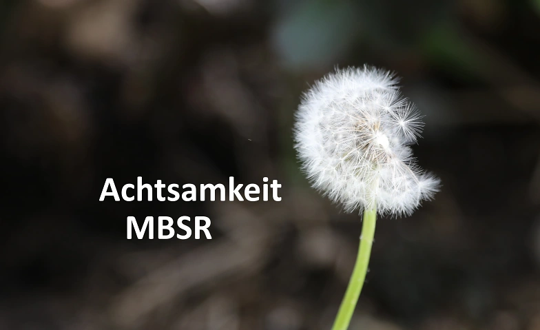 MBSR 8-Wochenkurs in Luzern - Morgen