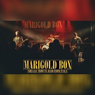 Nirvana Tribute Live Band - Marigold Box